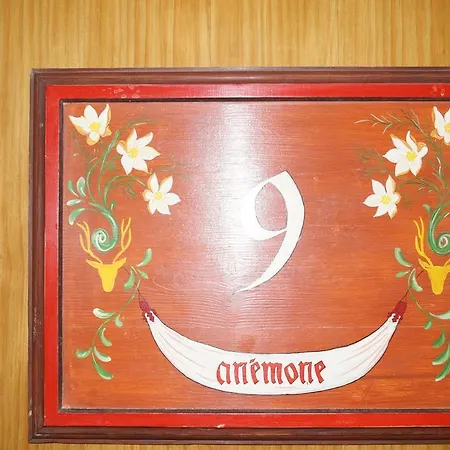 Anemone Apartment